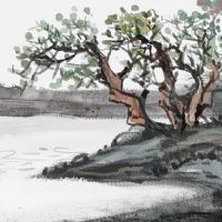 2022年9月9日出生属虎男孩命好不好 有福之命 家庭美满