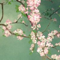 数字4在风水上象征什么 手机号带4有什么说法