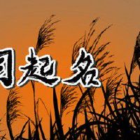 开花店取名字好带(有香和花) 具有唯美意境的花店名称