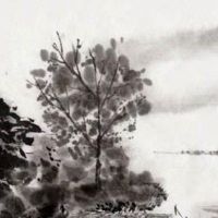 属虎的和什么属相最佳 大方善良不拘小节