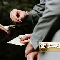 1995年属猪2022结婚大利月是啥