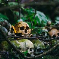 梦见自己到处杀人藏有