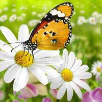 金牛座和天蝎座婚配匹配值如何