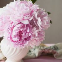 命带财库的女人感情运势怎么样