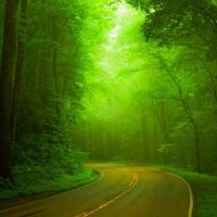 正印格男命适合与什么命格的女人在一起