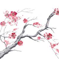 手机号带0不好嘛 聚财兴运的手机靓号推荐