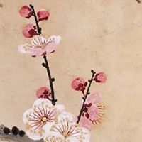 属虎和属蛇合财吗 财富危机会来临