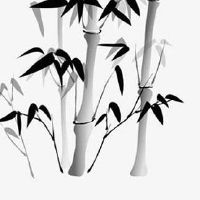 2022年8月16日可以搬家吗 宜乔迁新居吗