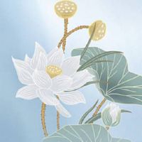 手机尾号是0就一定不好吗 五行旺财大吉的手机数组