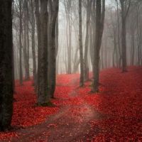 85属牛人最火的年龄