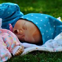 虎人的另一半何时出现