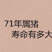 71年属猪的使用寿命有多大