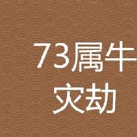 73年属牛49岁有一灾是真是假