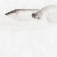 最准免费手机号码测吉凶 超强吉利旺财的手机号