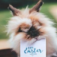 75年属兔47岁有一灾2022