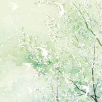 搬家的讲究和忌讳 搬家净宅有讲究