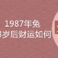 1987年兔33岁后财运如何