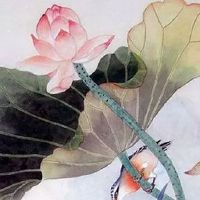 眉毛一边高一边低怎么办 高低眉的人贵人运较好