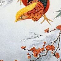 女的高低眉预示着什么 左边眉毛高女性是贤内助