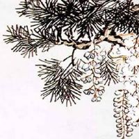 搬家择吉:2022年农历八月十三适宜搬入新房吗