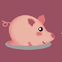 1995什么是年属猪?