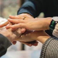 属兔和属龙能共事吗