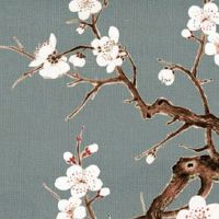 男人发型和财运有关系吗 长短发影响运气