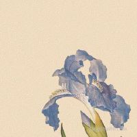 农历四月二十九出世男孩子运势五行详细说明!