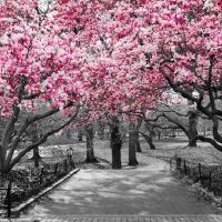 房子正门面向客厅阳台的风水该怎么去破解