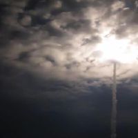 两根龙并不是守寡就受穷