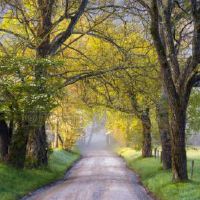 对门邻居家挂着八卦镜入住后运气不好该怎么办