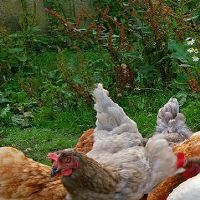 属蛇人离不了的2个贵人到底是谁