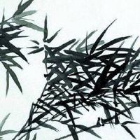 手机尾号6777值多少钱 数理大吉的风水号码