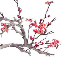 本命年离婚的男人是大忌 太岁年男性离婚影响事业