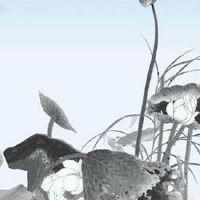 2022年8月12日装修好不好 今日是黄道吉日吗