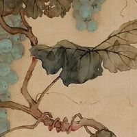 女人右眉比左眉高相术 眉头高单纯但控制欲强