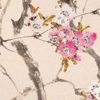 吉祥树排名:庭院十大吉祥之树