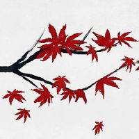 2022年11月生肖虎搬家上等吉日 搬新家好日子