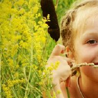 龙和猪生虎宝宝好吗?