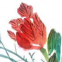 手机尾号86女性用好不好 数理意义大吉开运的手机号