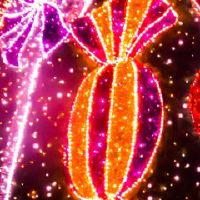 龙妈妈生虎宝好吗?