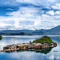 兰花寓意招财吉祥合适放在房间里吗