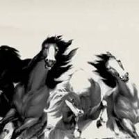 手机号7777的意义 7777的手机号值多少钱