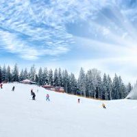 如果想走好的财运需要有什么样的征兆