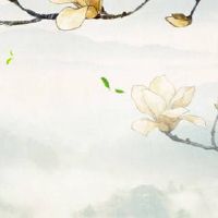 女人不能用的号码尾数 最新旺桃花的手机号码