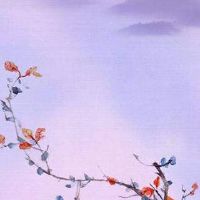 手机号尾号4441寓意好不好 超强旺运平安的手机号码