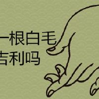 左眉毛长一根白毛八字命理寓意吉利吗