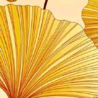 2022年小暑时间几点几分几秒 小暑时刻详细查询