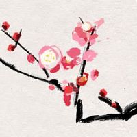 女人额头发际线高好不好 福气饱满好运来临