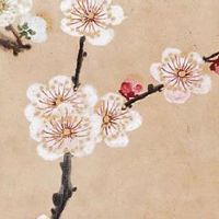 搬家要避开虎年吗 虎年易犯太岁影响运势